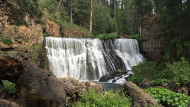 سيسكيو-تعرض-5-شلالات-طبيعية-مذهلة-تستهوي-محبي-التصوير-والمغامرة