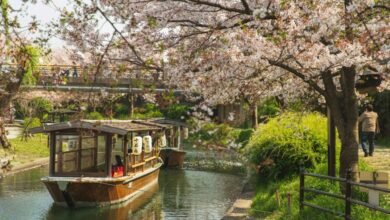 زيارة-كيوتو-اليابانية-برفقة-أطفالك-تجربة-سياحية-عائلية-متكاملة