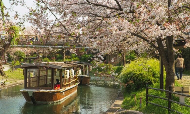 زيارة-كيوتو-اليابانية-برفقة-أطفالك-تجربة-سياحية-عائلية-متكاملة