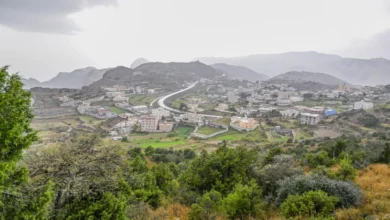 الباحة-تواصل-تألقها-وجهةً-صيفيةً-بطابع-طبيعي-وتراثي