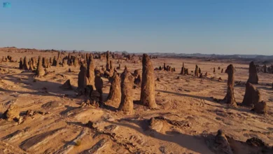 محمية-الغراميل.-أعمدة-صخرية-تروي-سيرة-العلا-وجمالها-الأزلي