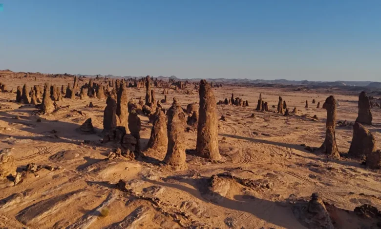 محمية-الغراميل.-أعمدة-صخرية-تروي-سيرة-العلا-وجمالها-الأزلي