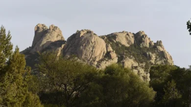 وادي-ذي-غزال-في-الطائف-يعيد-تعريف-السياحة-الطبيعية-والمغامرة-الهادئة