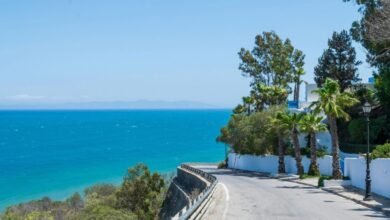 استكشف-حضارة-قرطاج-القديمة-يمنح-زوار-تونس-تجربة-لا-تنسى