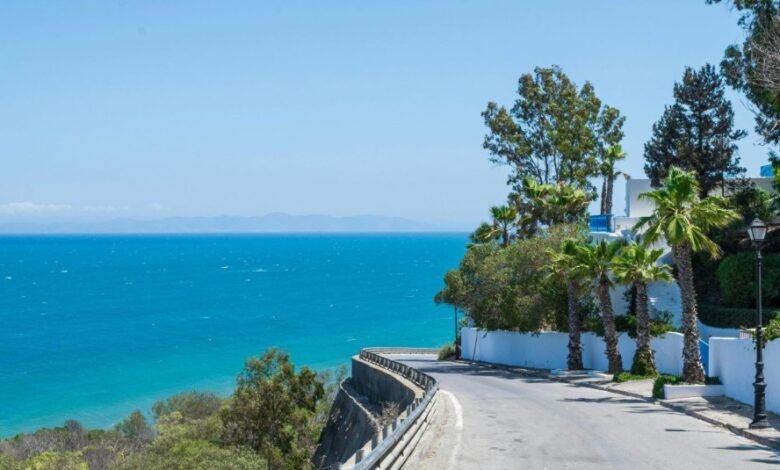 استكشف-حضارة-قرطاج-القديمة-يمنح-زوار-تونس-تجربة-لا-تنسى