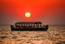 12-تجربة-سياحية-في-كيرالا-بين-المغامرة-والهدوء-والعافية-الطبيعية