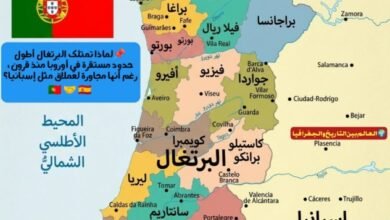 تحالف-بريطاني-برتغالي-يعود-لعام-1386-يظل-ساري-المفعول-حتى-اليوم-لحماية-الحدود