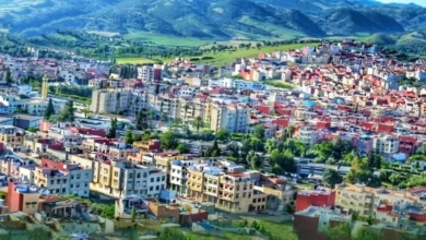 مدينة-وزان-المغربية-توفر-4-مناطق-مخصصة-للتخييم-وسط-الغابات-الكثيفة