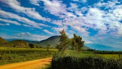 8-محطات-تكشف-تنوع-الحياة-البرية-والطبيعة-داخل-أوغندا-في-رحلة-واحدة
