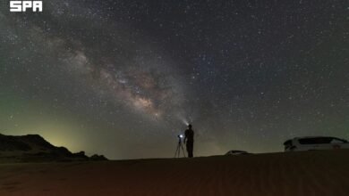 تفاصيل-جغرافية-تجعل-محافظة-الوجه-الوجهة-الأولى-لعلماء-الحياة-البحرية-مستقبلا
