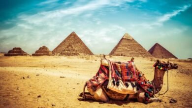 مصر-تناقش-واقع-الصحافة-السياحية-والذكاء-الاصطناعي-بمنتدى-الاتحاد-العربي-للإعلام-السياحي