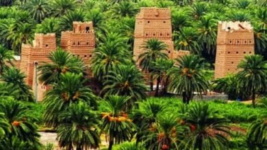 خطة-استثمارية-كبرى-تضع-منطقة-نجران-على-خارطة-الوجهات-السياحية-العالمية