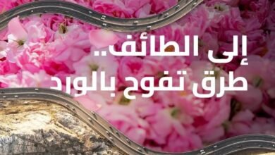 الطائف-تستند-إلى-3-عناصر-رئيسية-تعزز-حركة-الزوار-طوال-الموسم-السياحي