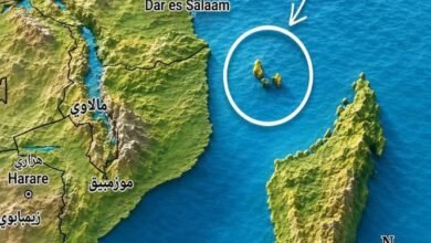 موقع-يضم-4-جزر-يكشف-سبب-ارتباط-جزر-القمر-بصناعة-العطور-العالمية