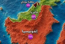 جزيرة-بورنيو-تحتفظ-بتقسيم-فريد-بين-3-دول-وتضم-أعلى-قمة-بارتفاع-4,095-مترًا