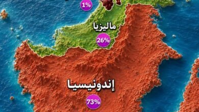 جزيرة-بورنيو-تحتفظ-بتقسيم-فريد-بين-3-دول-وتضم-أعلى-قمة-بارتفاع-4,095-مترًا