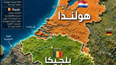 هولندا-وبلجيكا.-6-فروق-في-الاقتصاد-والتجارة-والنقل