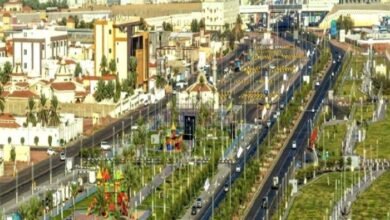 وجهة-سعودية-تدعم-التشجير-والتنمية-المستدامة-وترتبط-بتاريخ-الكرم-العربي