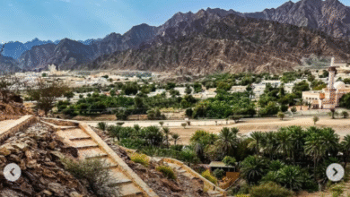 65-دولة-تحتضن-وجهات-ريفية-ضمن-شبكة-أفضل-القرى-السياحية