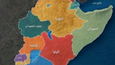 18-دولة-في-شرق-أفريقيا-تكشف-تنوعًا-جغرافيًا-بين-الجبال-والبحيرات-والجزر