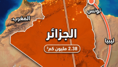 مساحة-الجزائر-تكشف-سرًا-جغرافيًا-محيرًا-وراء-تجمع-السكان-في-الشمال
