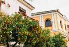 5-مدن-ووجهات-سياحية-تحمل-روائح-مميزة-ترافق-المسافر-بعد-عودته